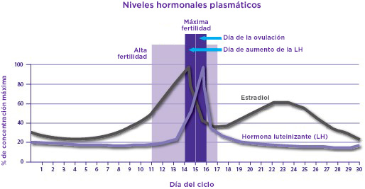 plasma